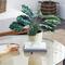 Green Plastic Traditional Artificial Foliage, 16" x 21" x 20"